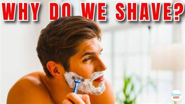 How many times a week should you shave?