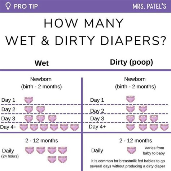 How many wet diapers should a 10 month old have?