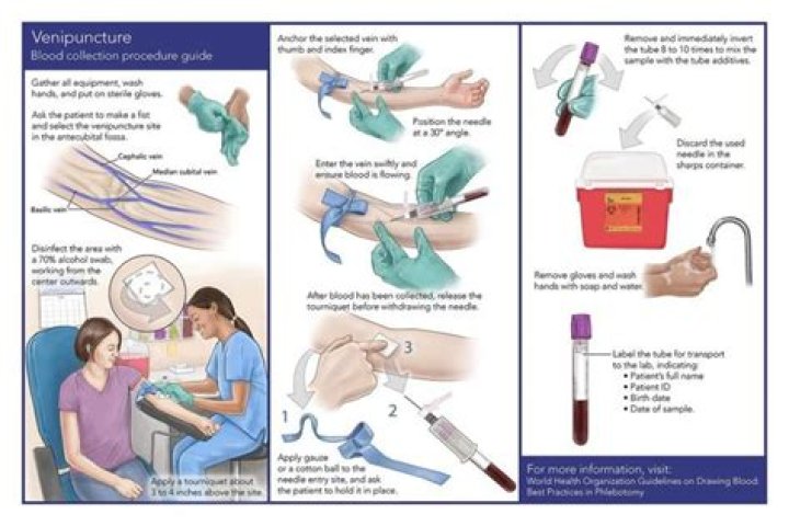 How much blood is removed in a phlebotomy?