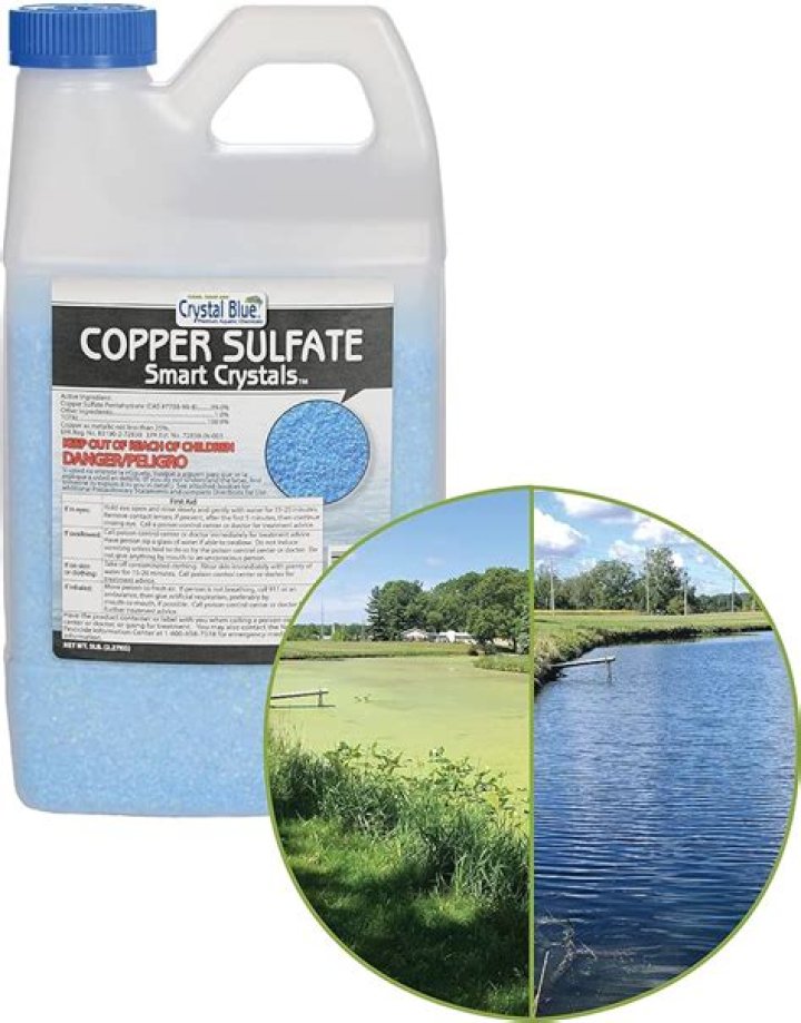How much copper sulfate should I put in my septic tank?