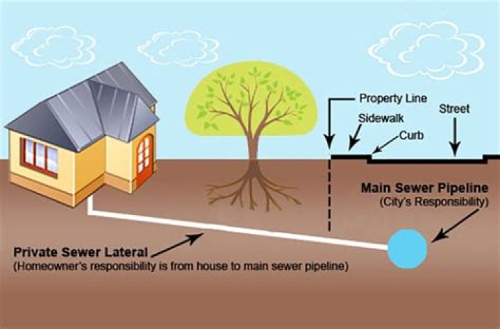 How much copper sulfate should I put in my sewer line?