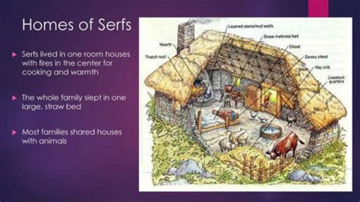 How much did serfs pay in taxes?