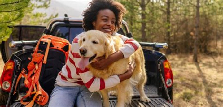 How much DNA do we share with a dog?