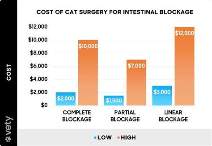 How much does cat intestinal blockage surgery cost?