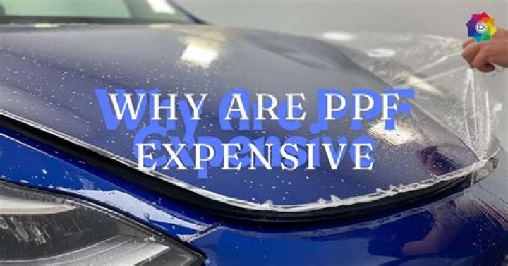 How much does it cost to PPF a front bumper?