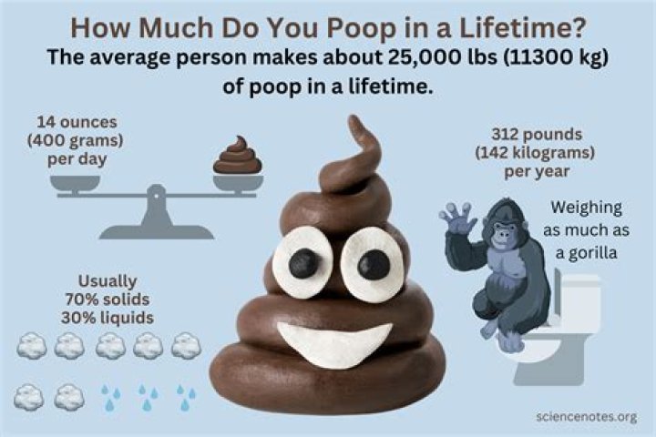 How much does poop add to your weight?