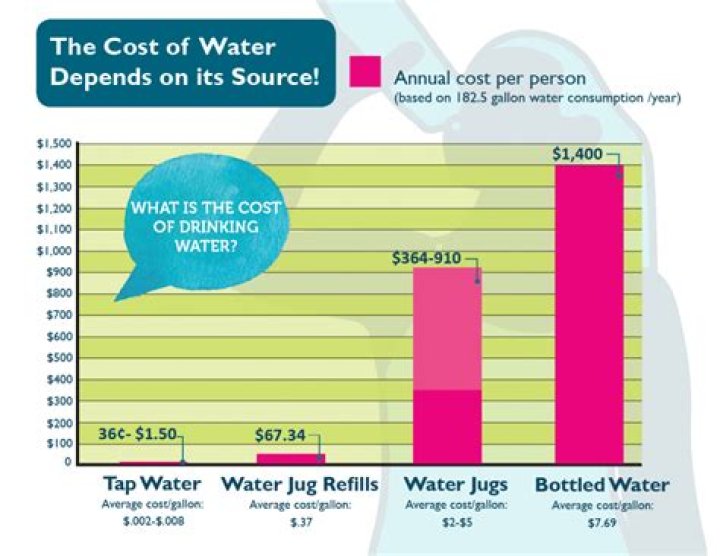 How much does water cost in Disney?