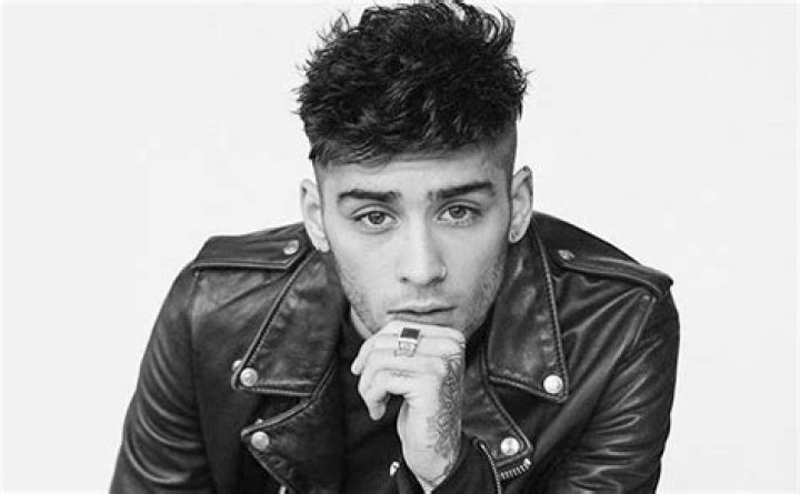 How much does Zayn Malik earn?