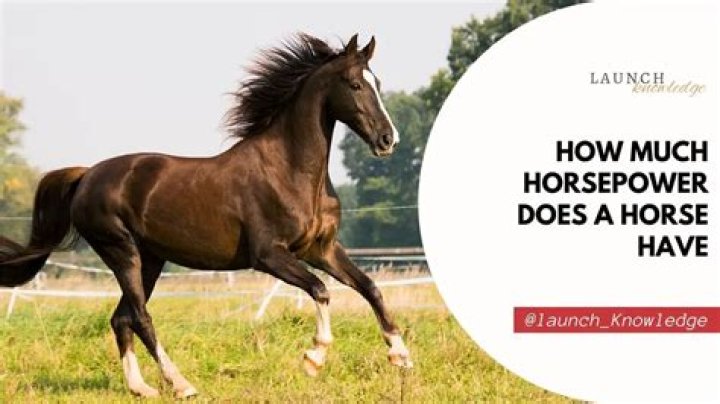 How much horsepower can a 4l60 take?