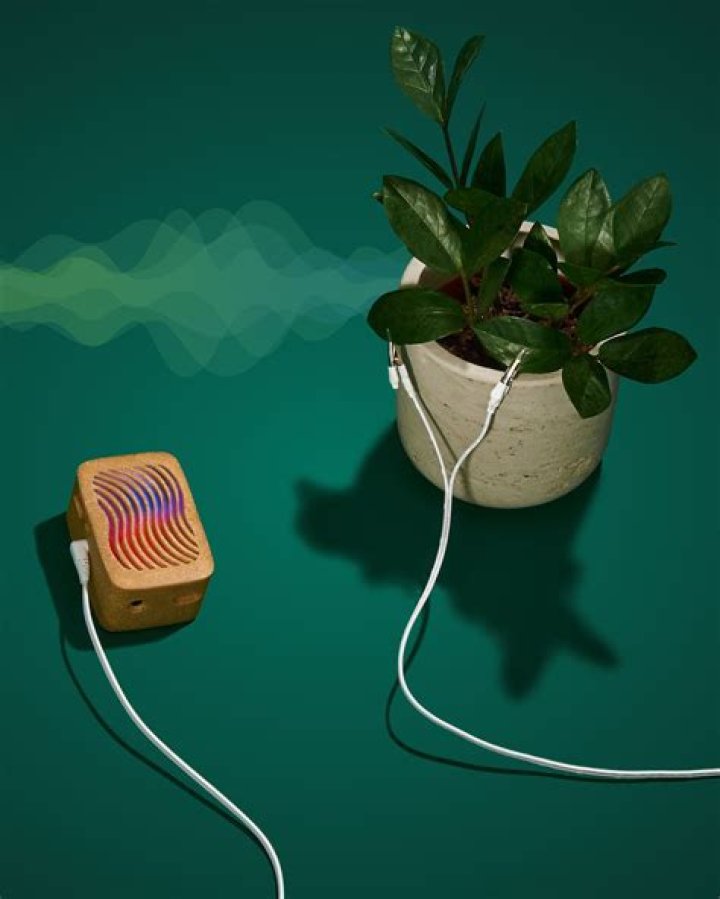 How much is a PlantWave?