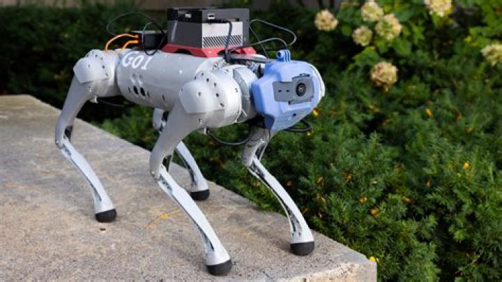 How much is a realistic robot dog?