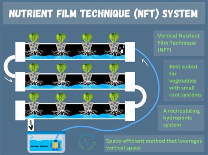 How much is an NFT worth?