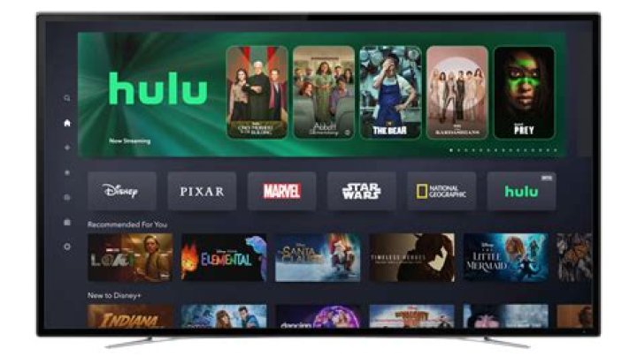 How Much Is Disney Plus a month with Hulu?