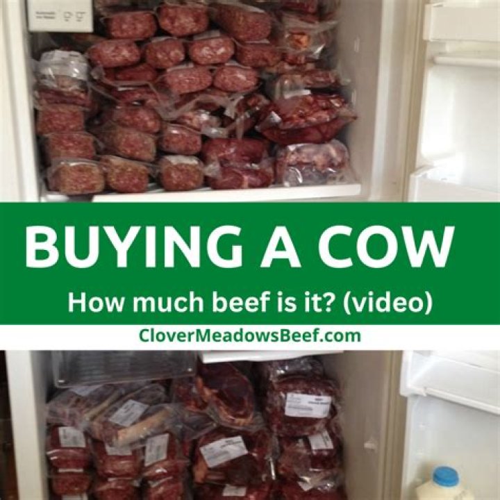 How much is it to buy a car in Mexico?