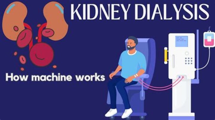 How much kidney function does dialysis replace?