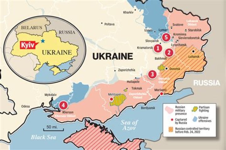 How much land would every person have?