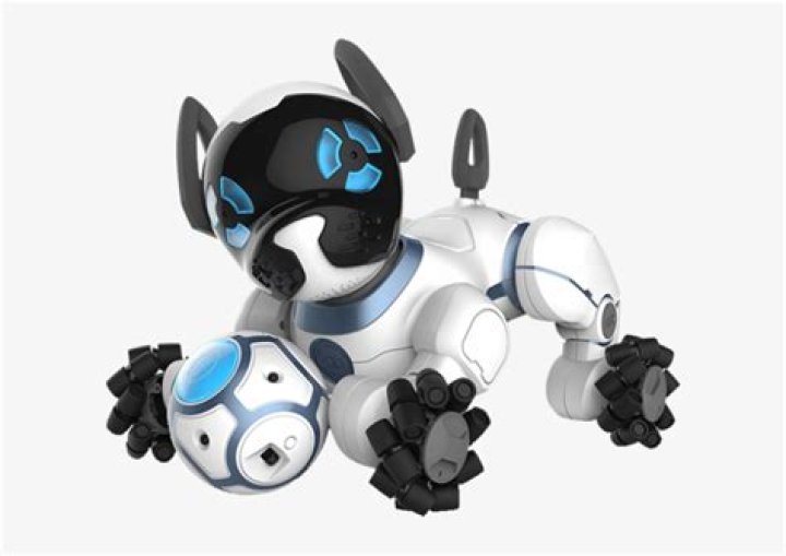 How much money is CHiP the robot dog?