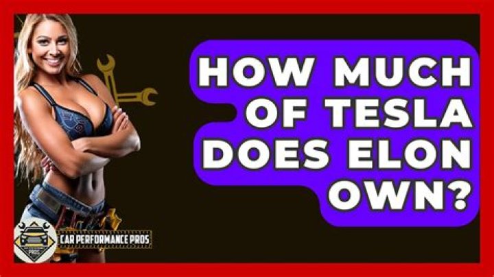 How much of Tesla does Elon own?