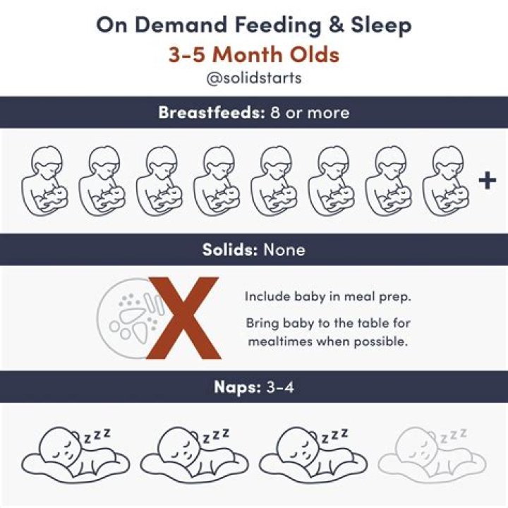How much should 6 month old eat solids?