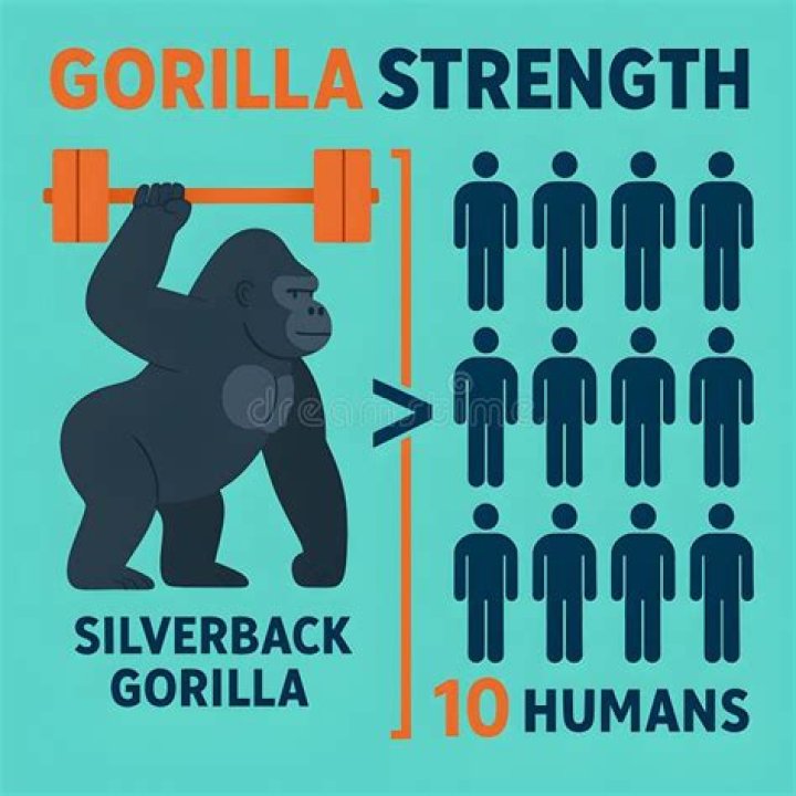 How much stronger can humans get?