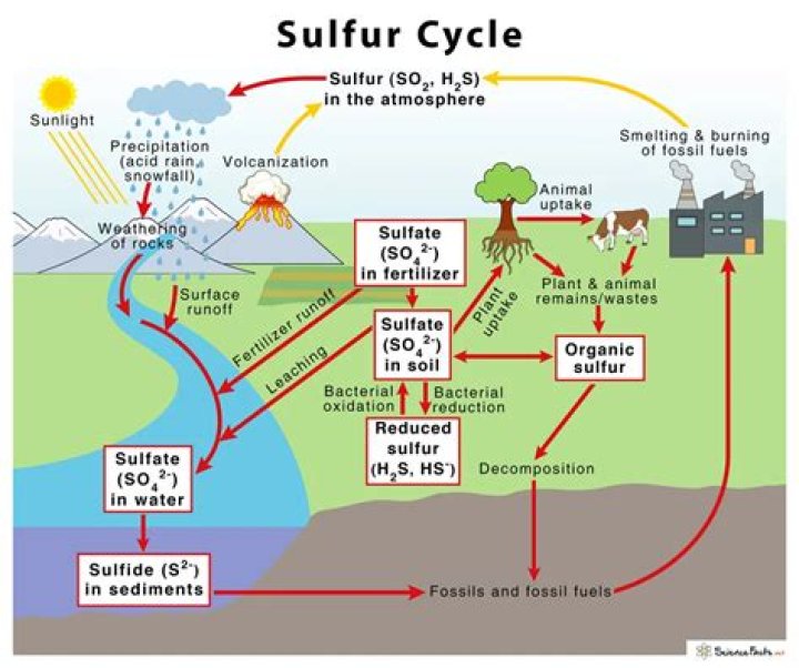 How much sulfur is in C4 rust?