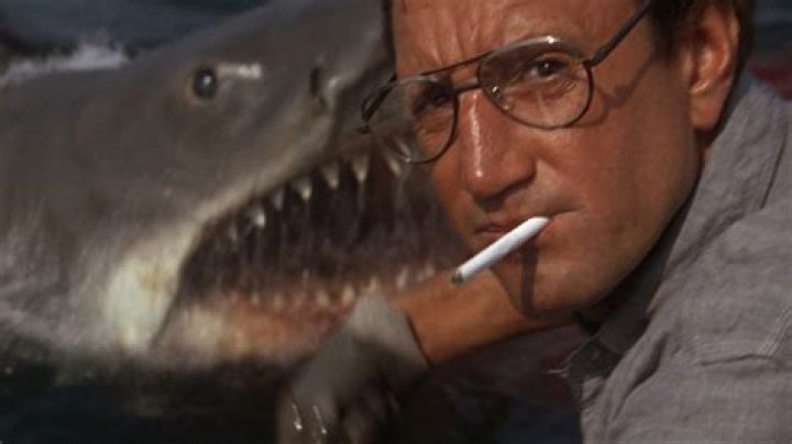 How much was Roy Scheider paid for Jaws 2?
