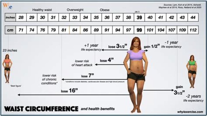 How much weight is an inch off your waist?