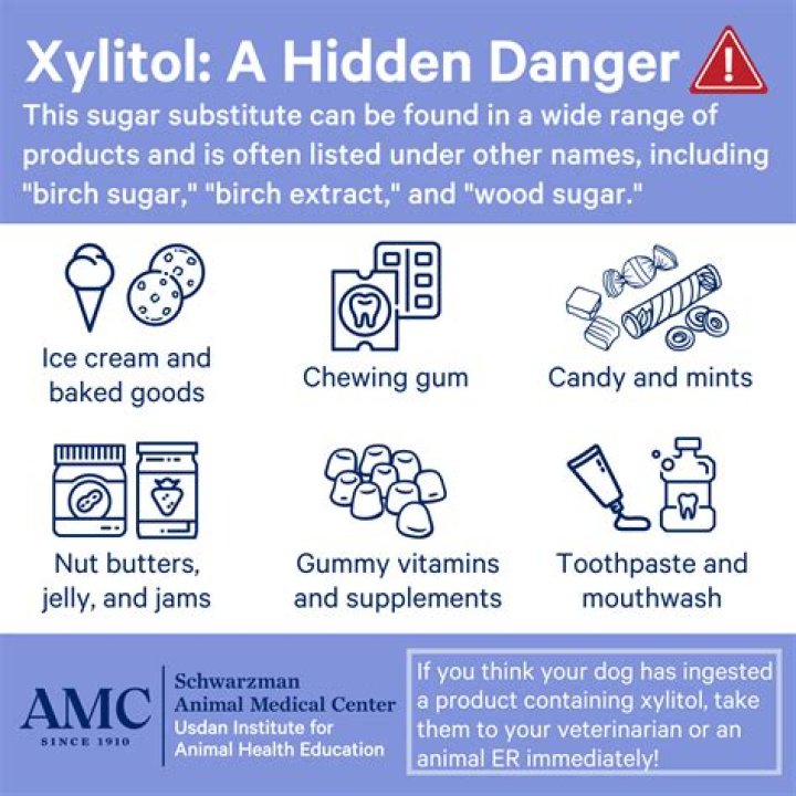 How much xylitol can a dog eat?
