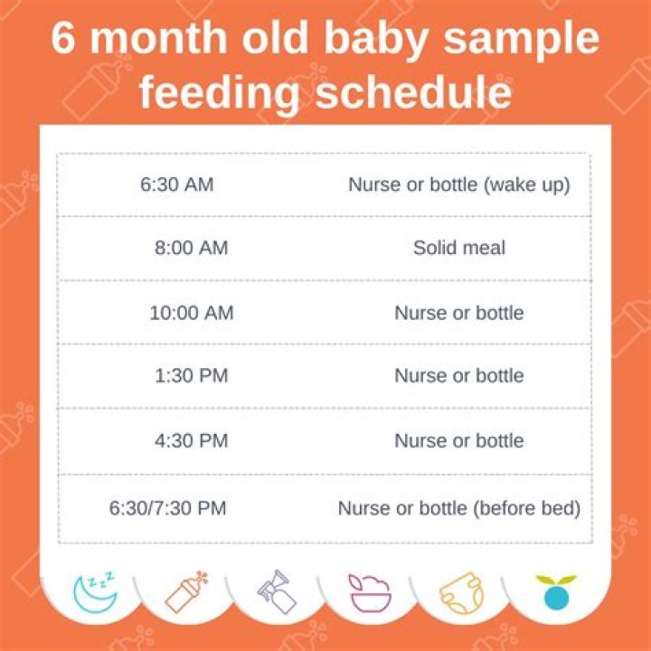 How often should a 6 month old bathe?