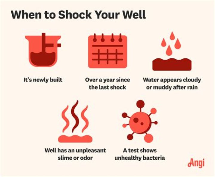 How often should you shock your well water?