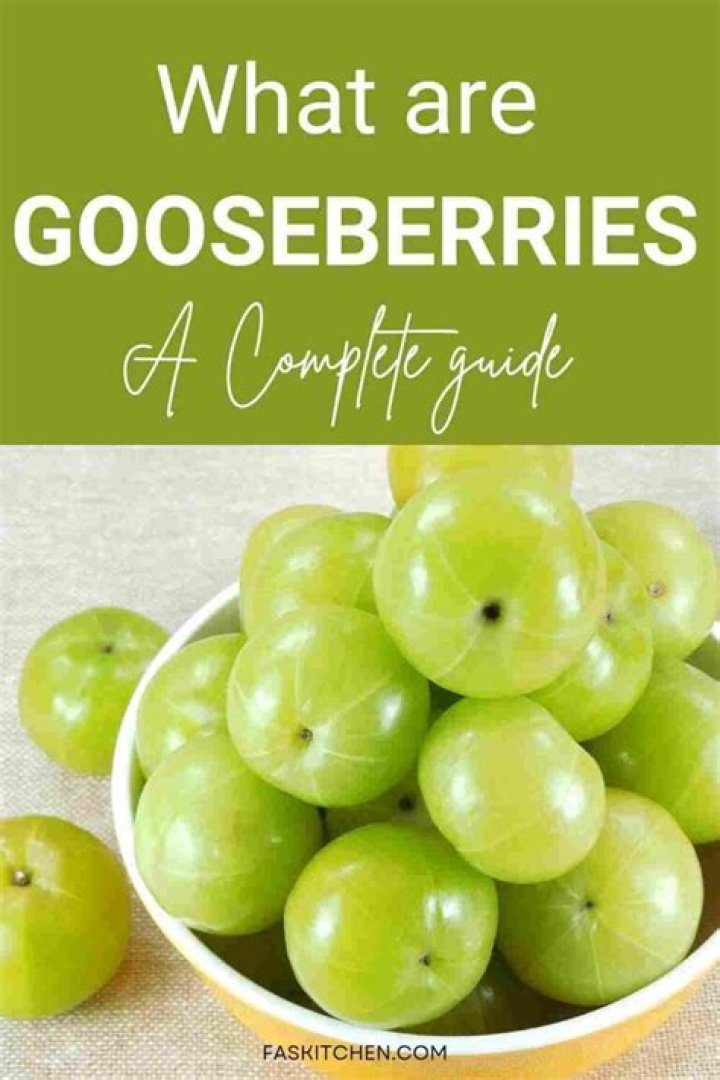 How old are gooseberries?