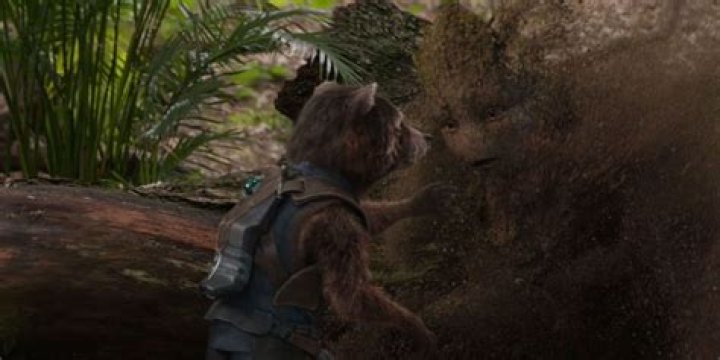 How old is Groot in Infinity War?