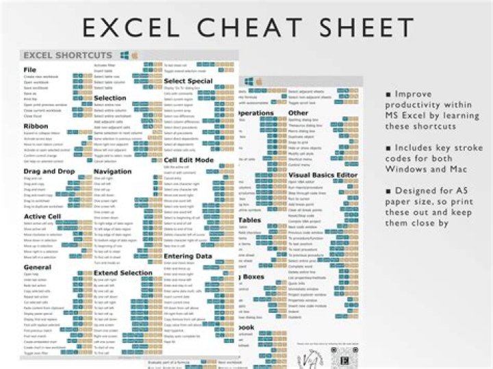 How popular is Excel?