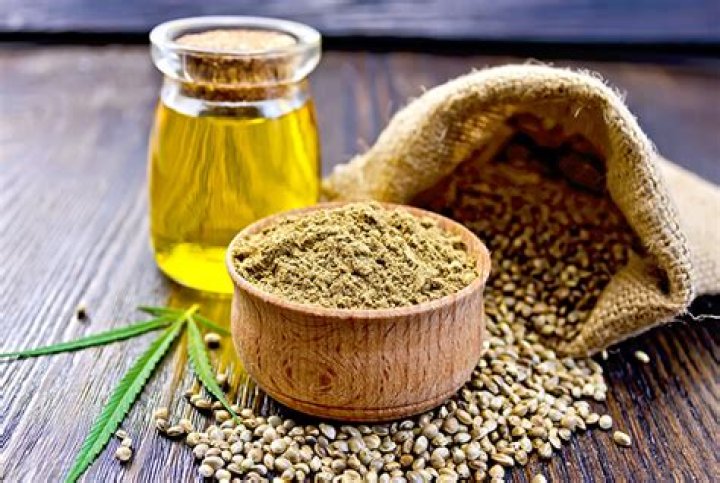 How quickly does hemp oil work for dogs?
