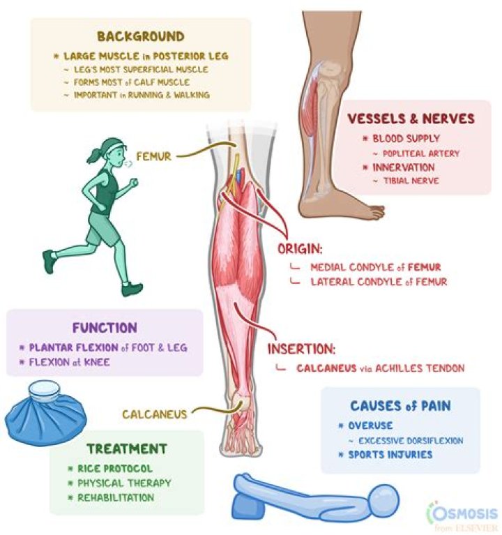 How severe is leg pain from a blood clot?