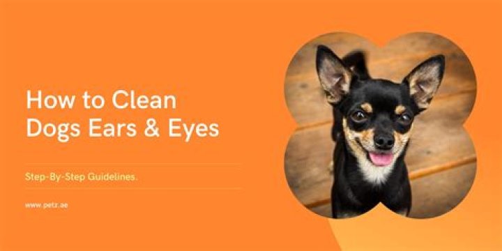 How should I clean my dog's ears?