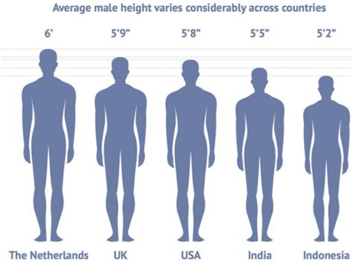 How tall does a man have to be to be a model?