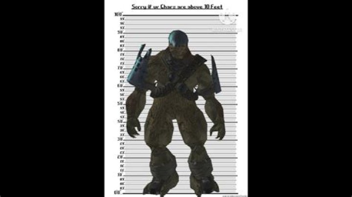 How tall is a Brute in Halo?