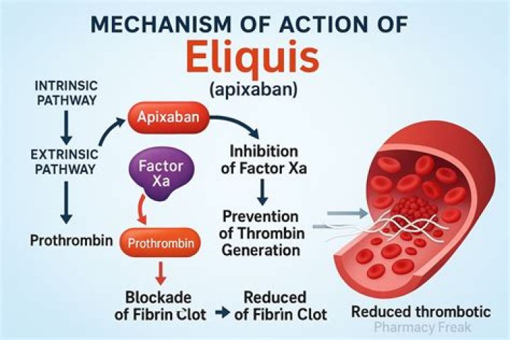 Is 10 mg of Eliquis a lot?
