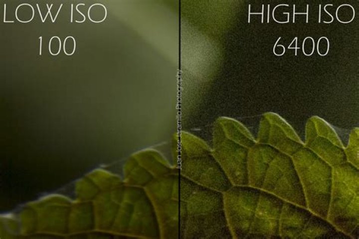 Is 3200 ISO too high?