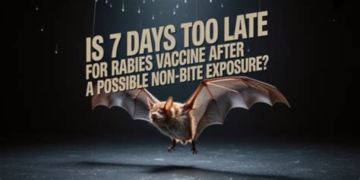 Is 4 days too late for rabies vaccine?