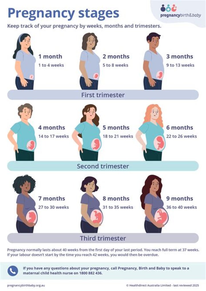 Is 4 months your second trimester?
