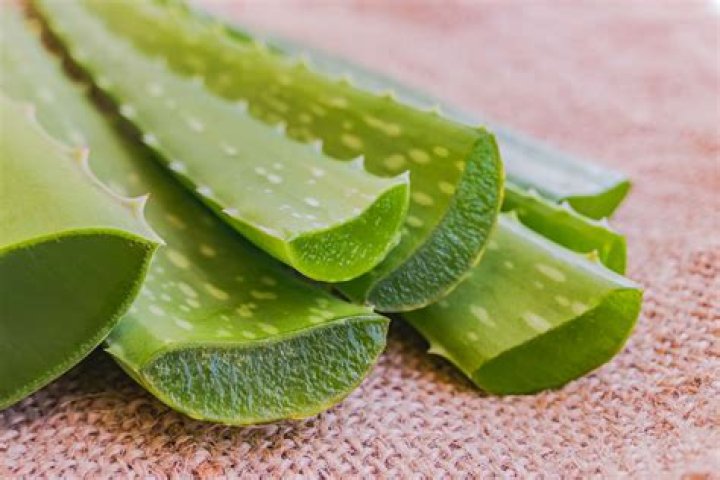 Is Aloe Vera good for heat rash?