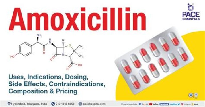 Is amoxicillin the same as penicillin?
