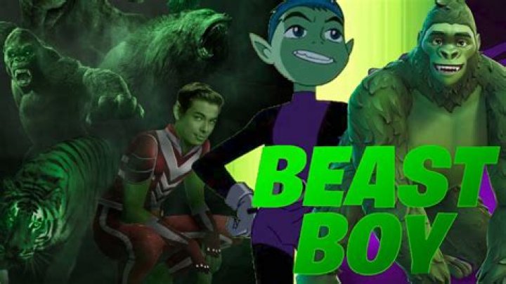 Is Beast Boy dumb?