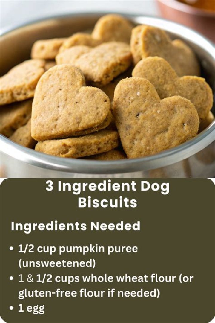 Is Biscuit good for dog?