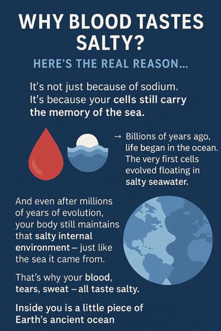 Is blood salty?
