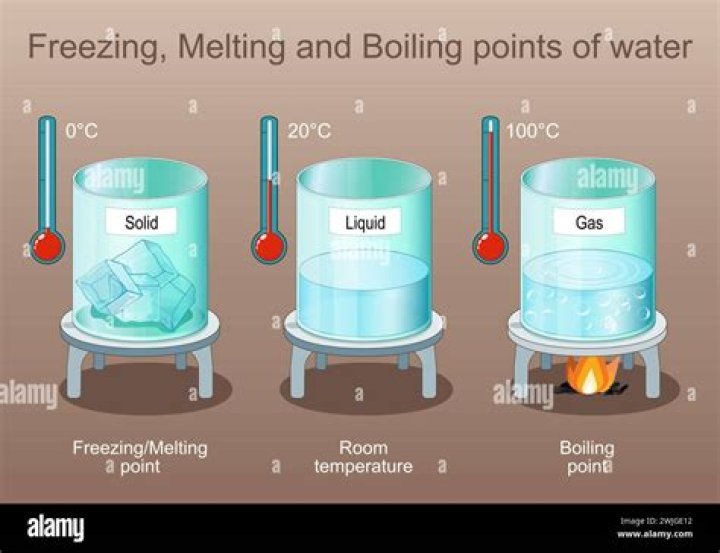 Is boiling water good for a Christmas tree?