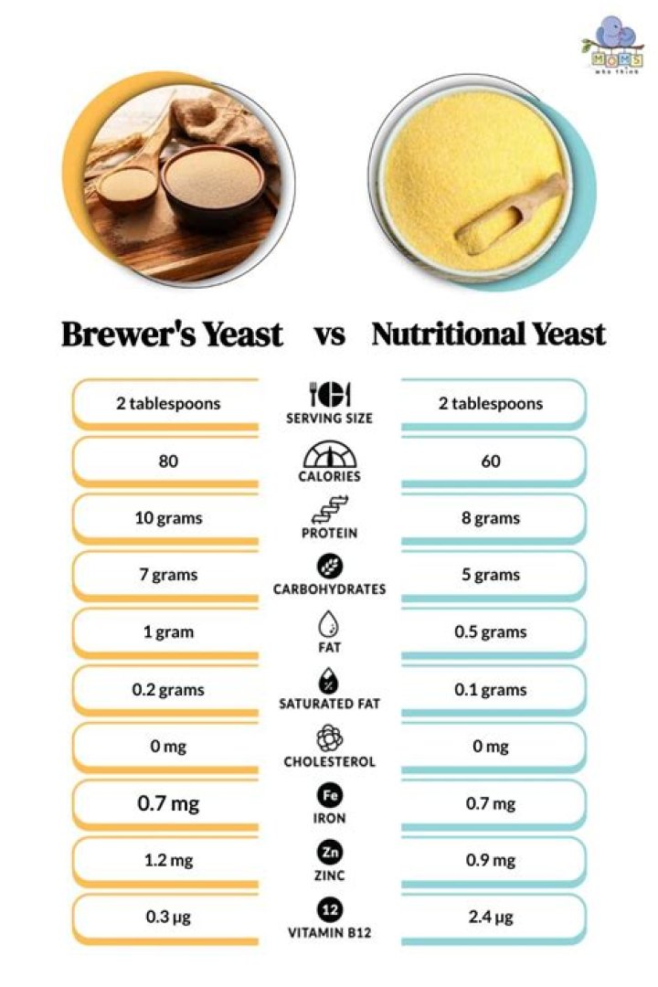 Is Brewer's yeast fermented?