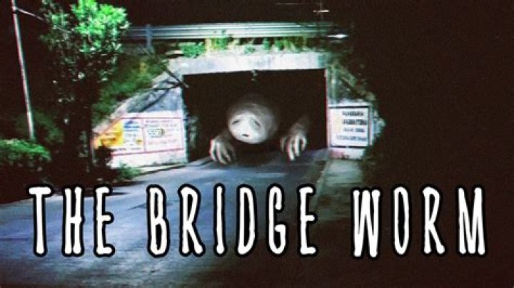 Is Bridge worm real or fake?